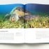 Blue Planet II