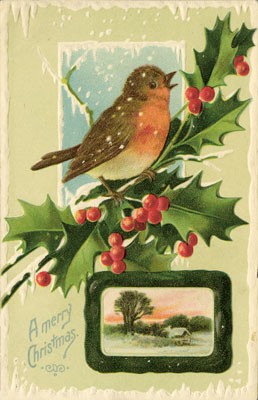 The Robin