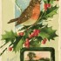 The Robin