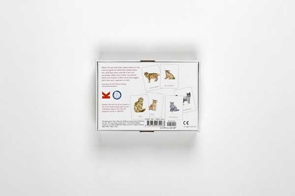 Cats & Kittens Memory Game