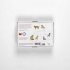 Cats & Kittens Memory Game