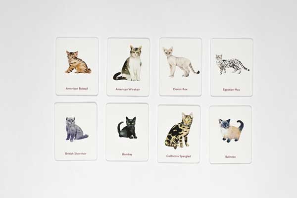Cats & Kittens Memory Game