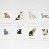 Cats & Kittens Memory Game