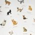 Cats & Kittens Memory Game