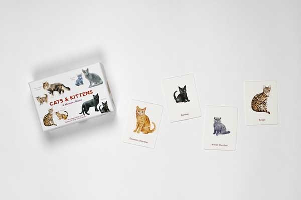 Cats & Kittens Memory Game