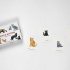 Cats & Kittens Memory Game