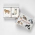 Cats & Kittens Memory Game