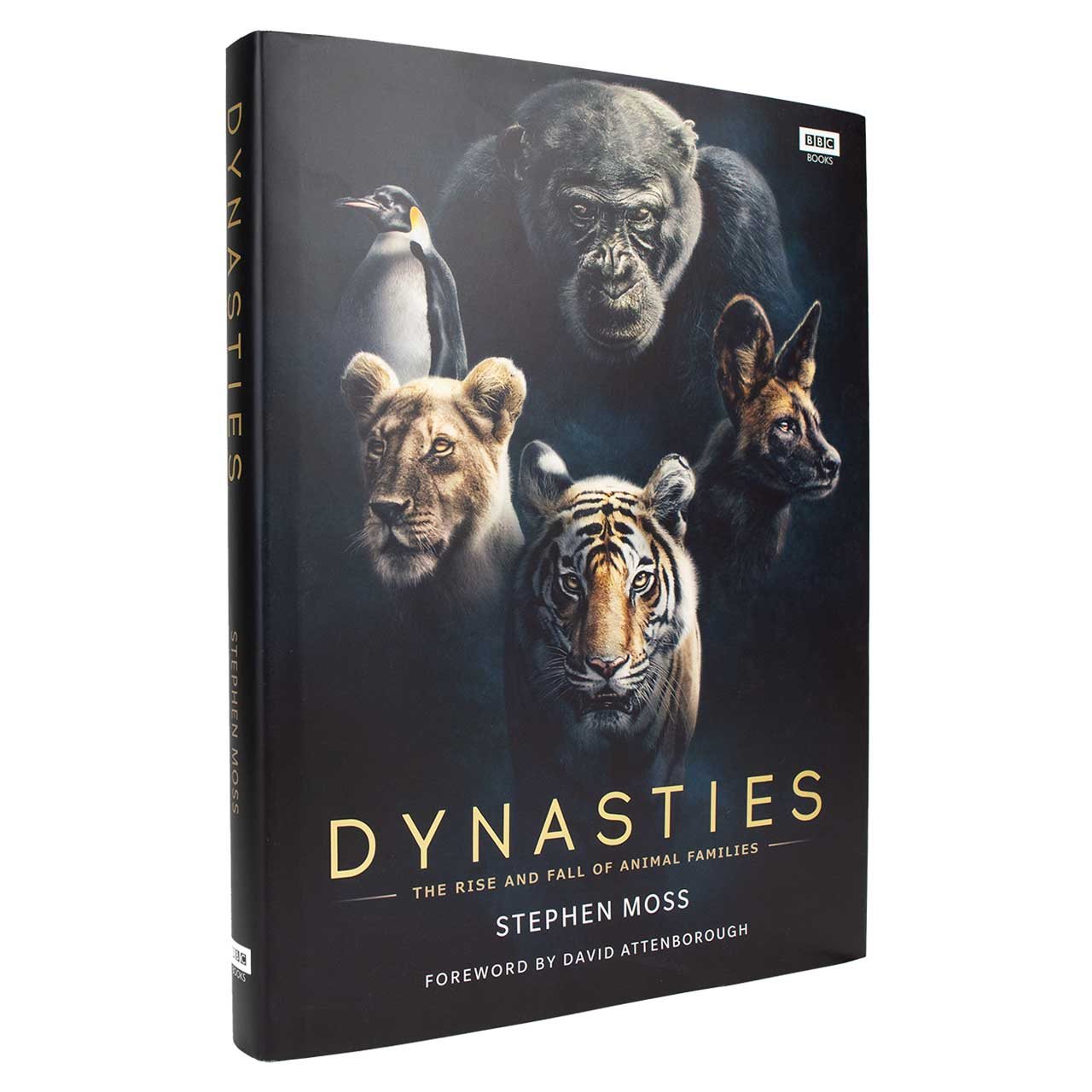 Dynasties