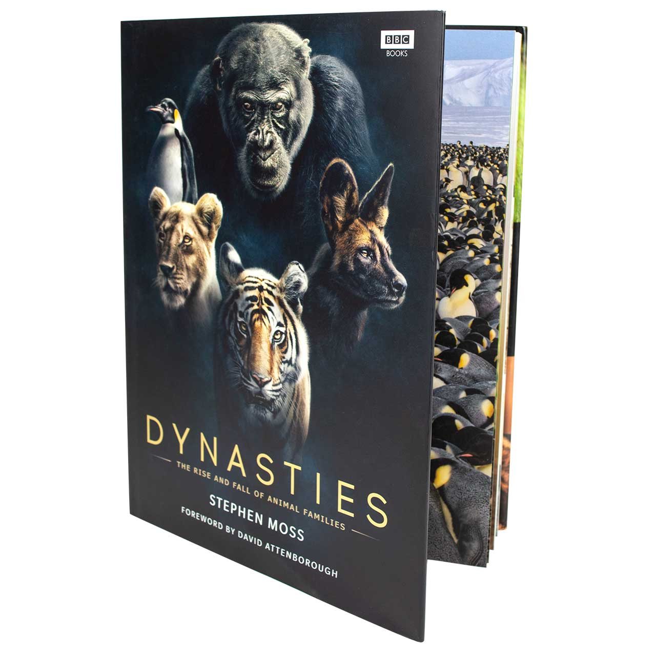 Dynasties