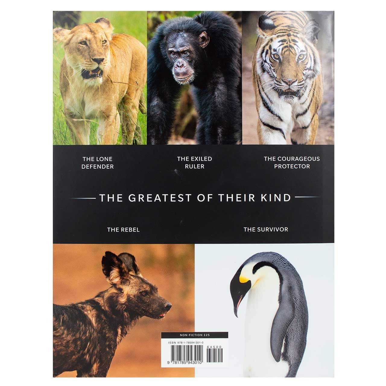 Dynasties