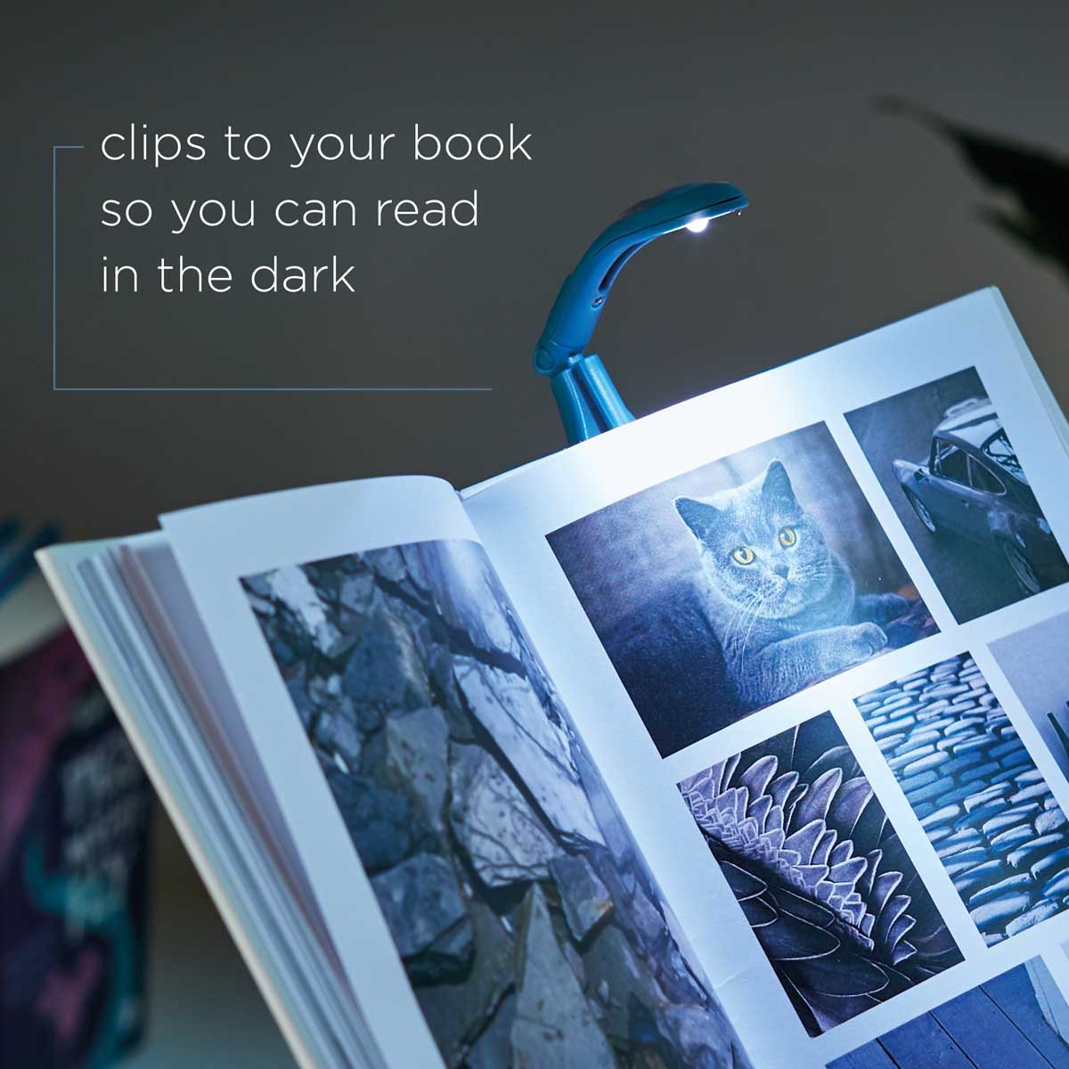 Really Tiny Book Light - Slate