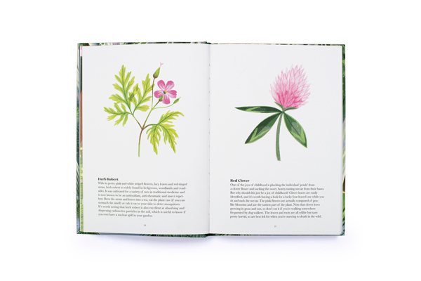 100 Things to do in a Forest