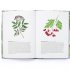 100 Things to do in a Forest
