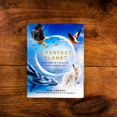 A Perfect Planet