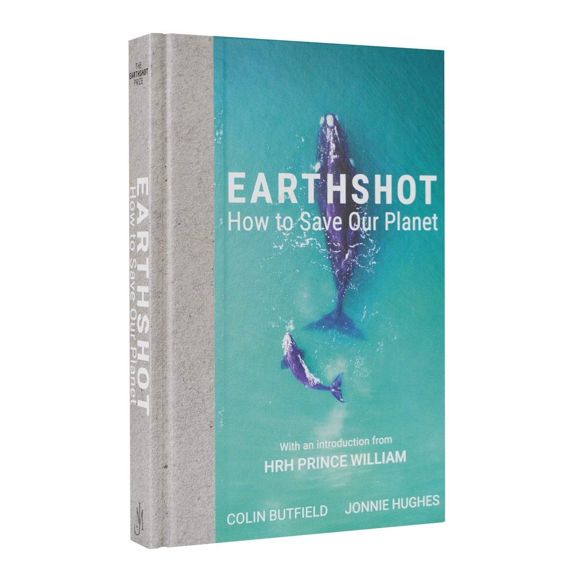 Earthshot