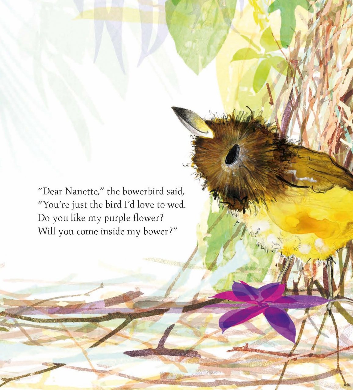 The Bowerbird
