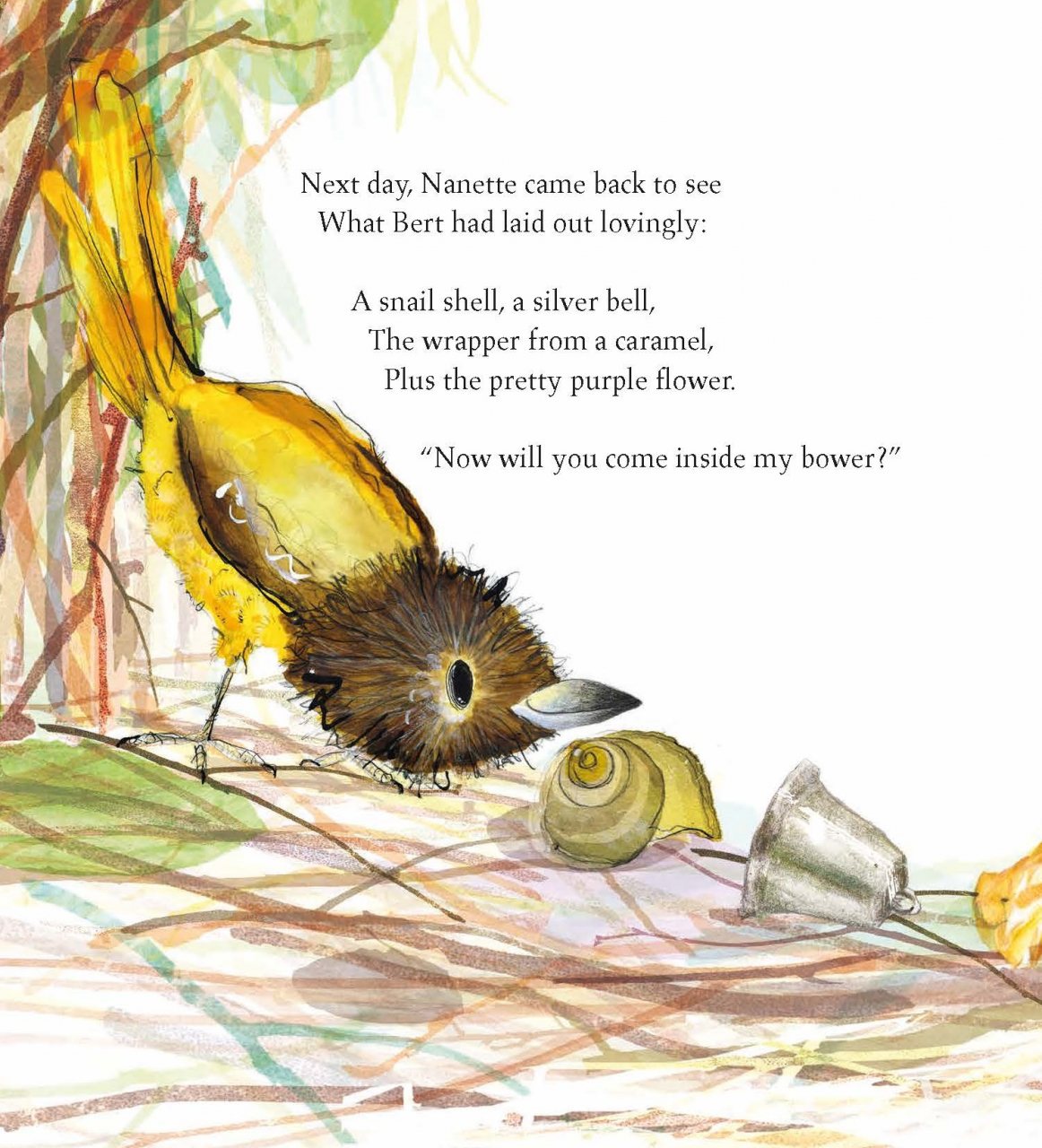 The Bowerbird