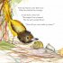 The Bowerbird
