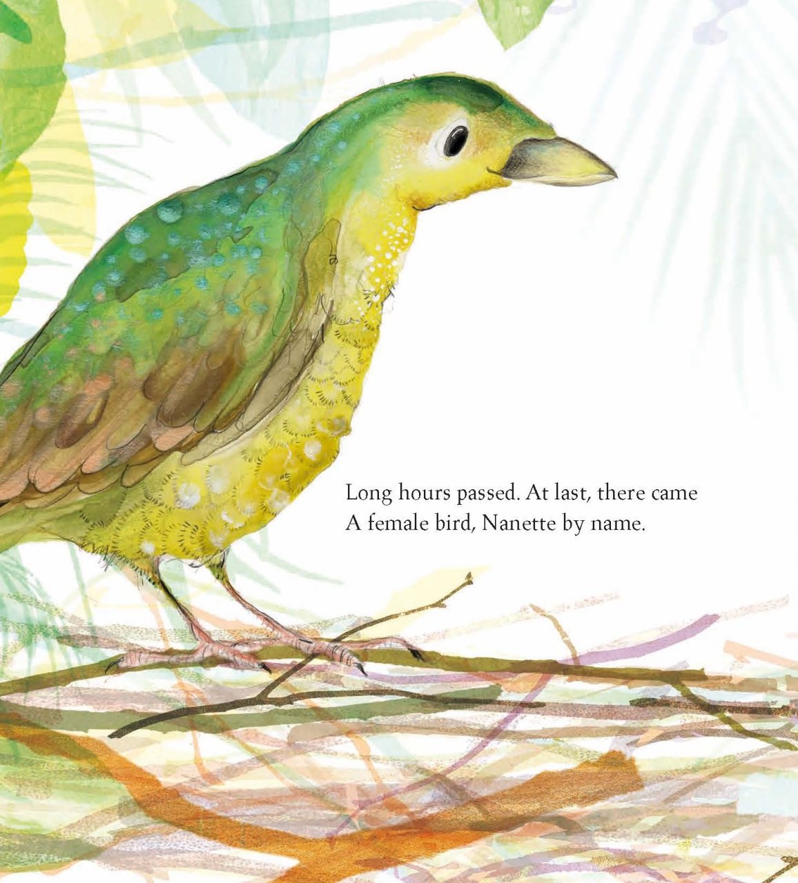 The Bowerbird
