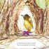 The Bowerbird