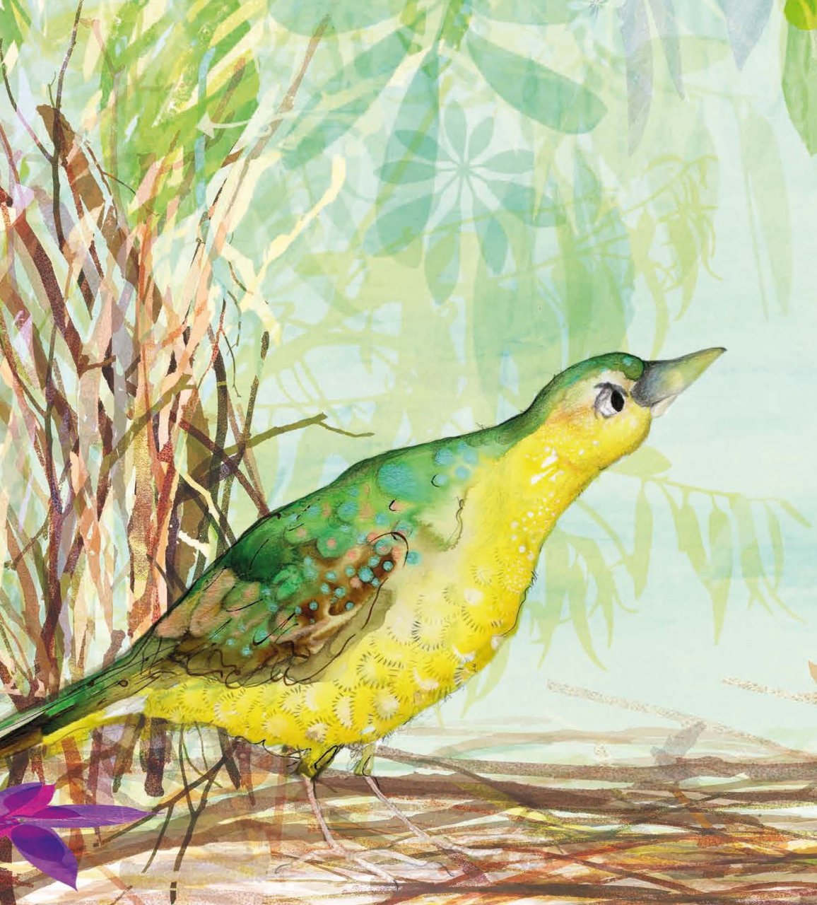 The Bowerbird