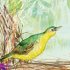 The Bowerbird