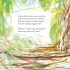The Bowerbird