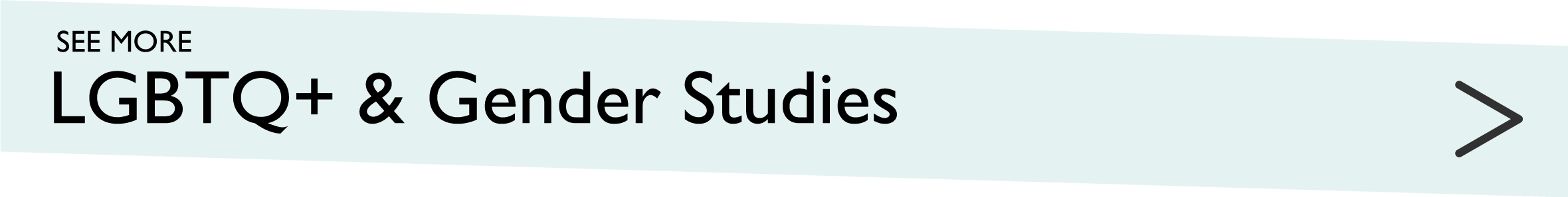 See more LGBTQ+ & Gender Studies