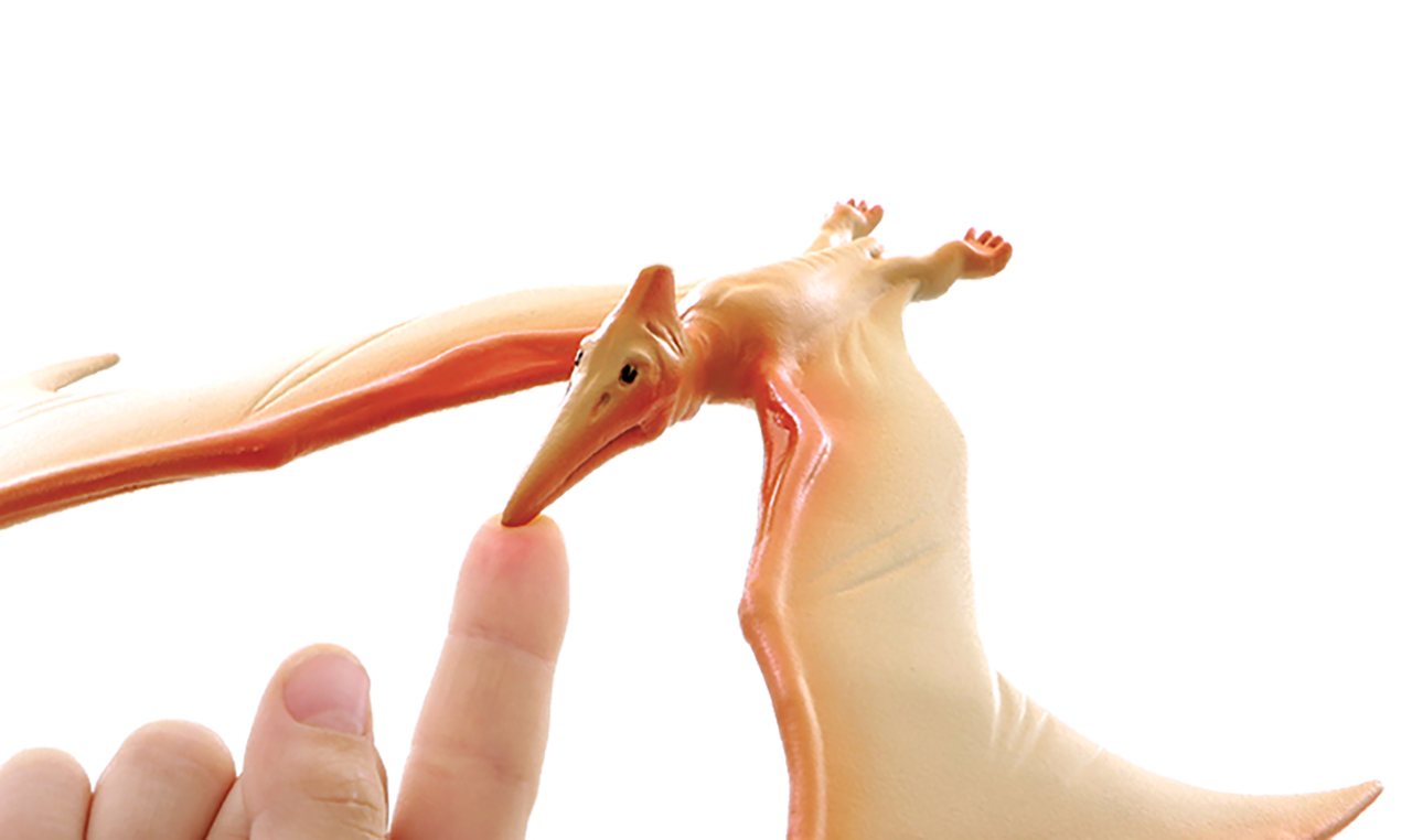 Balancing Pteranodon