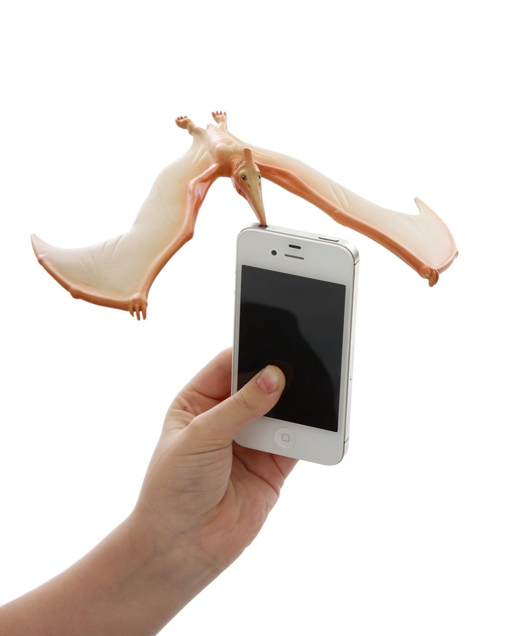 Balancing Pteranodon