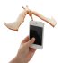 Balancing Pteranodon
