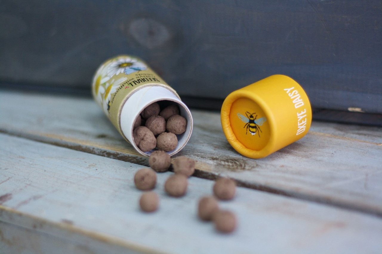 Daisy Seedball