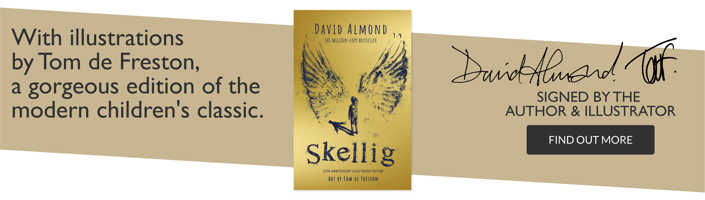 Skellig by David Almond