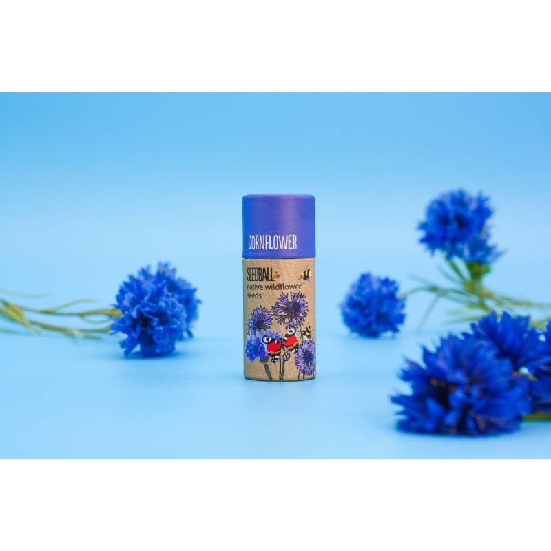 Cornflower Seedball