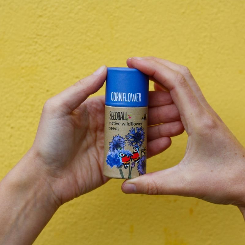 Cornflower Seedball