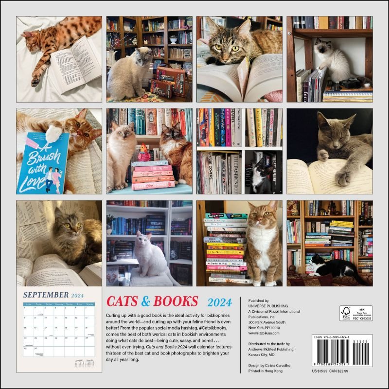 Cats & Books 2024 Wall Calendar by Rizzoli Universe Foyles