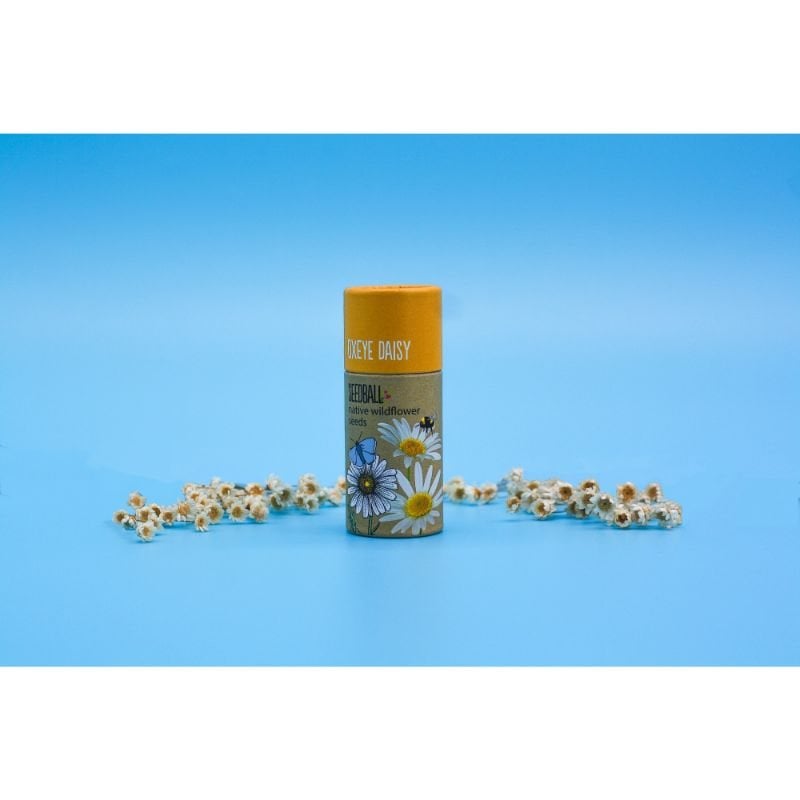 Daisy Seedball