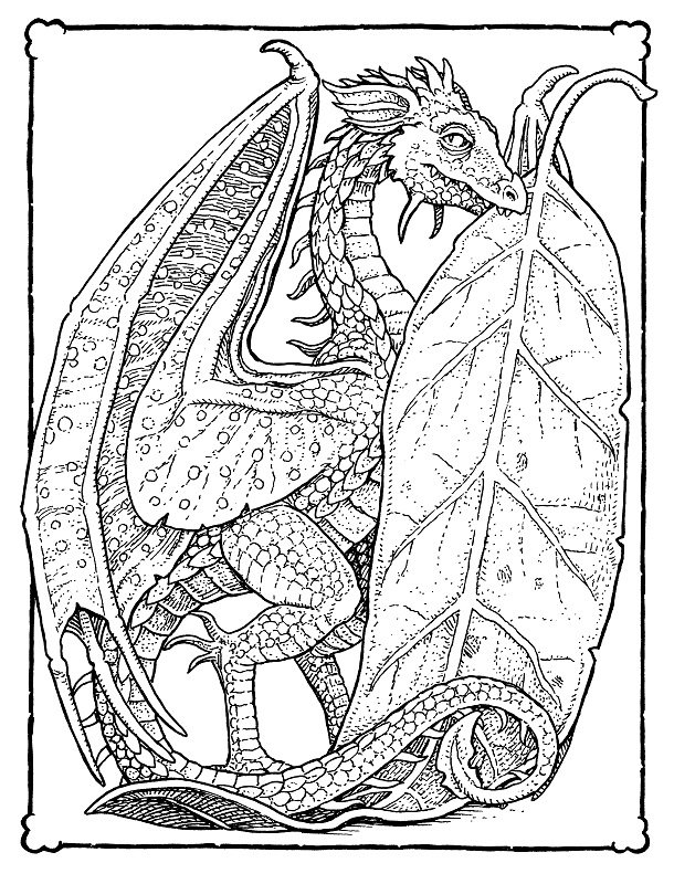 Impossible Creatures
