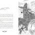 Wings of Glory