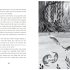 The Swan's Warning (The Story of Greenriver Book 2)