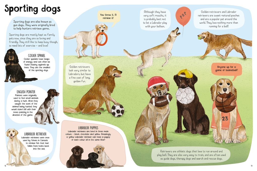A Book of Dogs (and other canines)