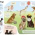 A Book of Dogs (and other canines)