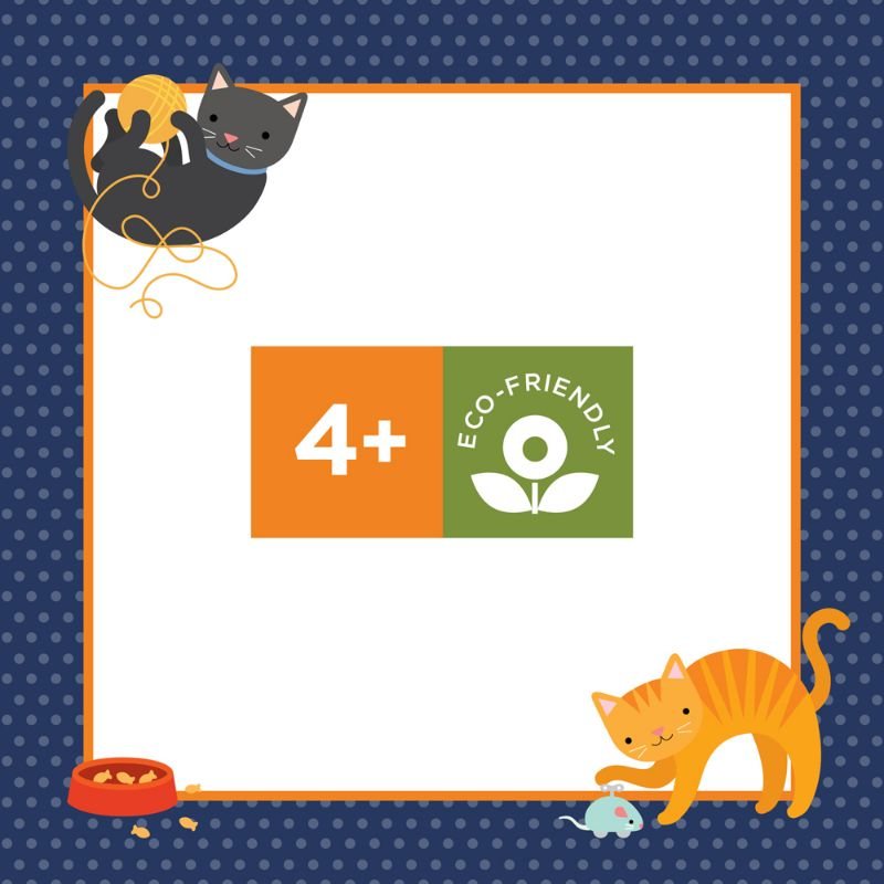 Catventures- Decoder Game