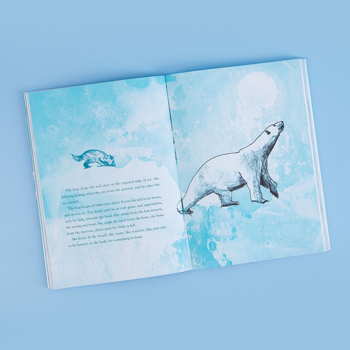 Leila and the Blue Fox