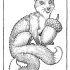 Impossible Creatures