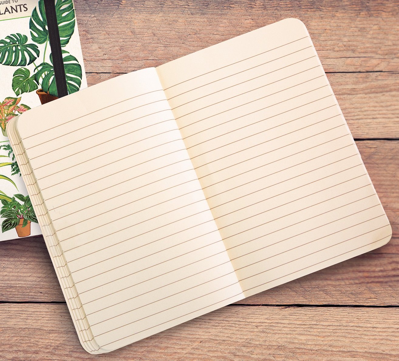 Large Notebook Citrus