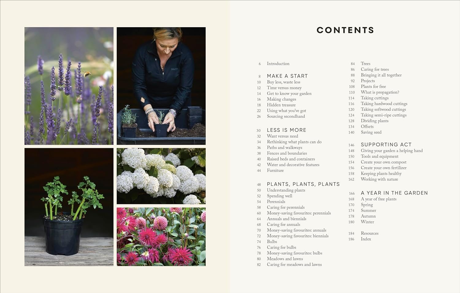 The Money-Saving Gardener