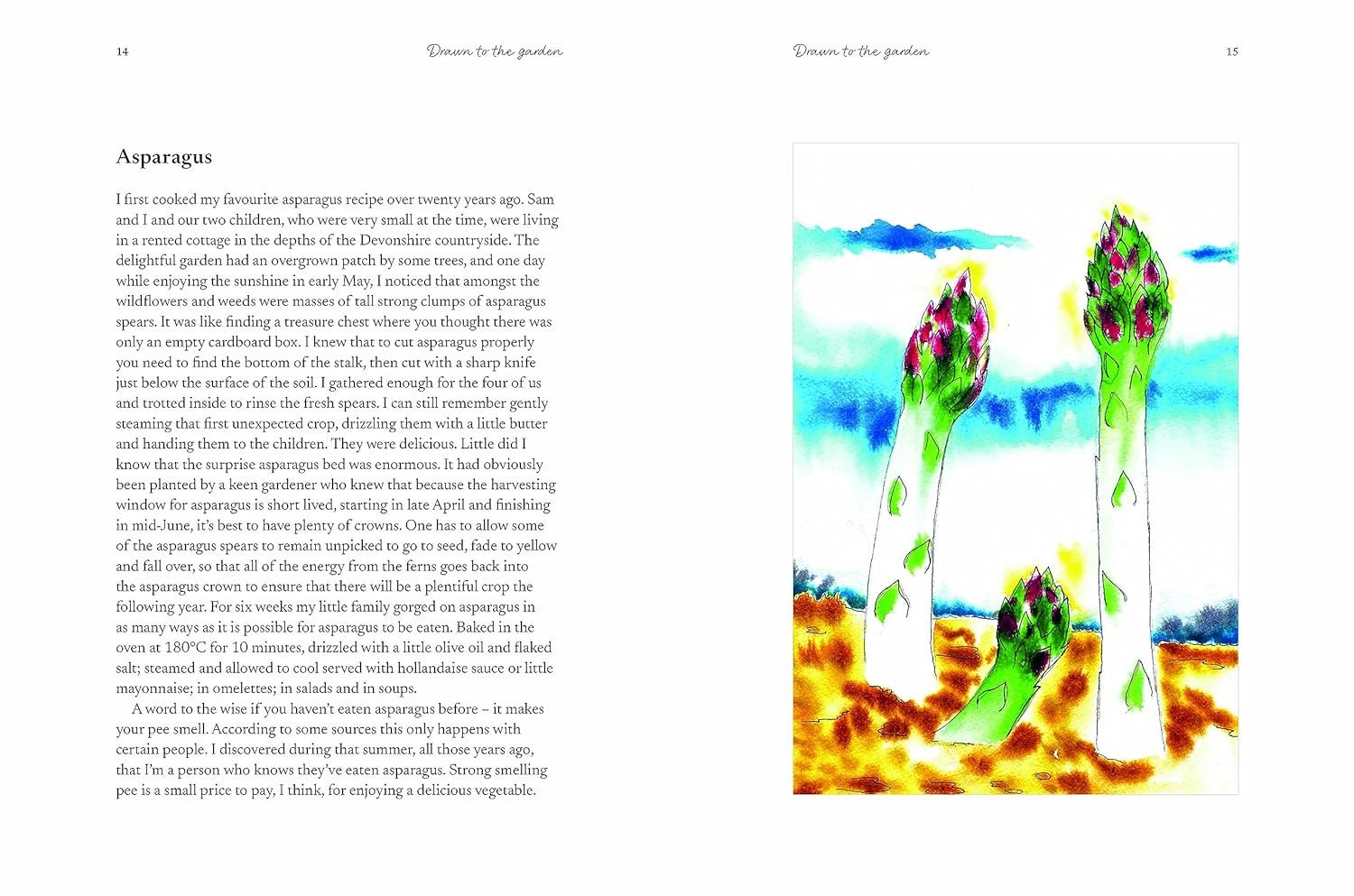 Drawn to the Garden
