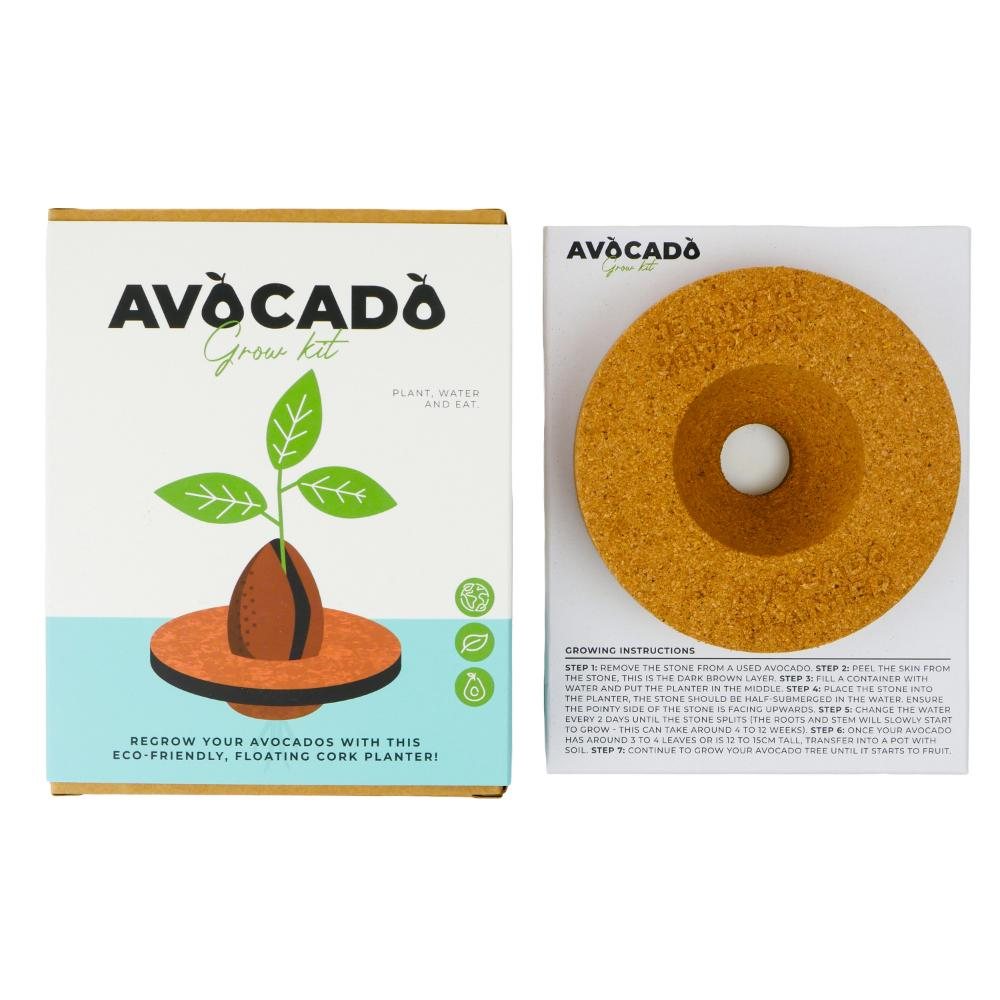 Avocado Grow Kit
