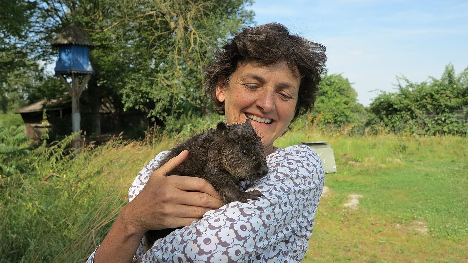 Wilding: How to Bring Wildlife Back - an Illustrated Guide